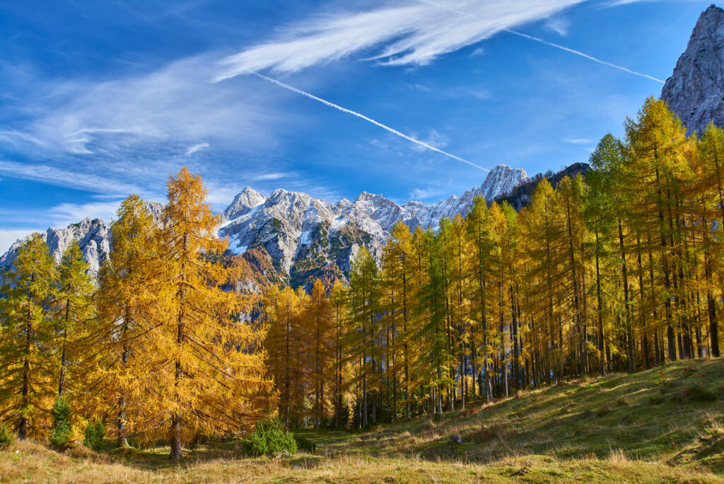 Alpi orientali Gaialab